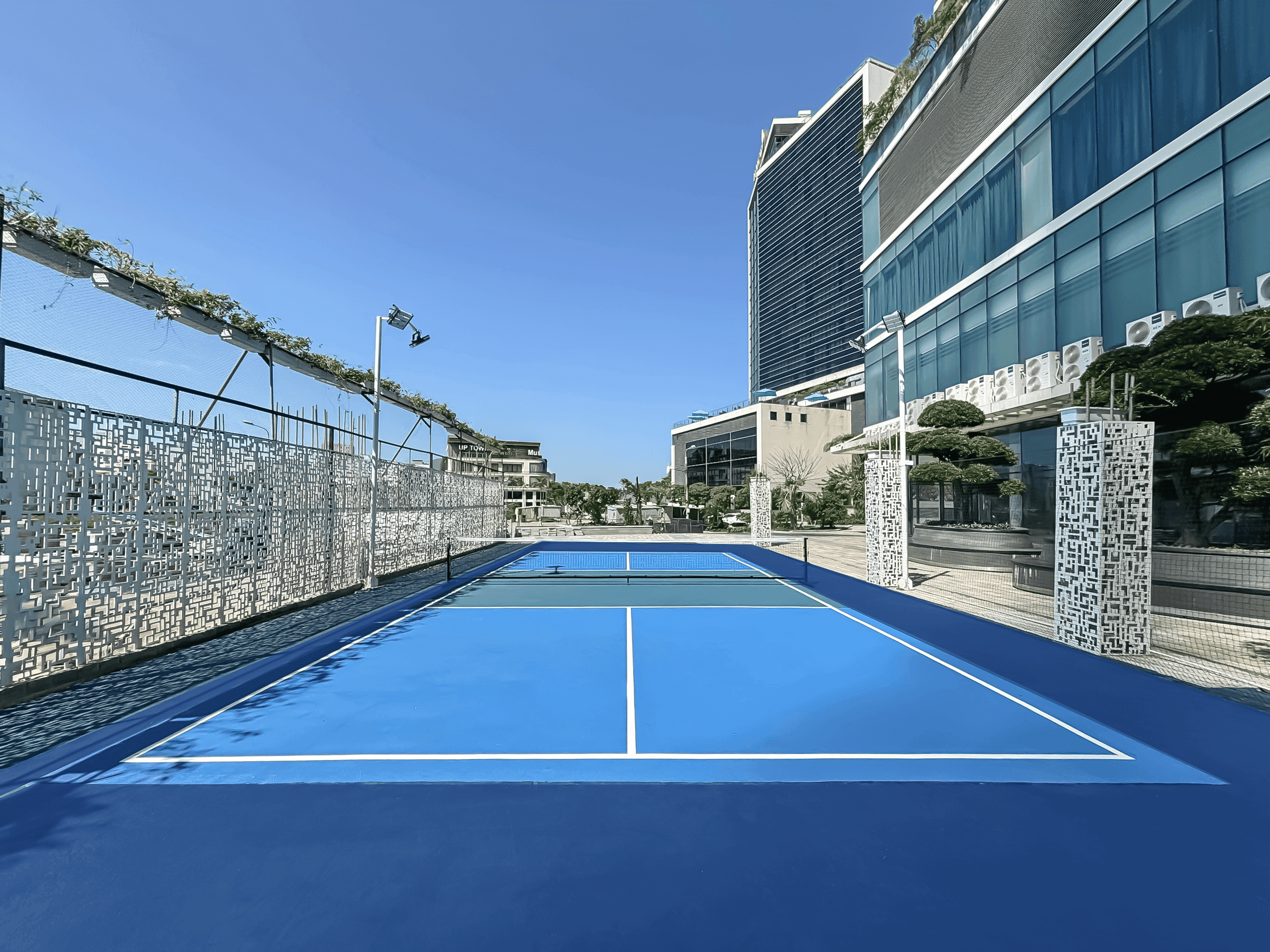 Pickleball Court